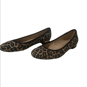 Velocity 2.0 - leopard print flats